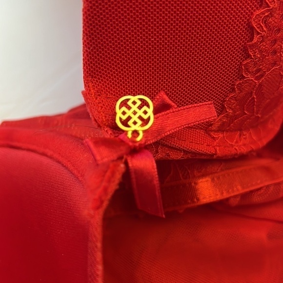 Daisy Fuentes Intimates Lace Baby Doll negligée thong Push Up Bra - Picture 6 of 11